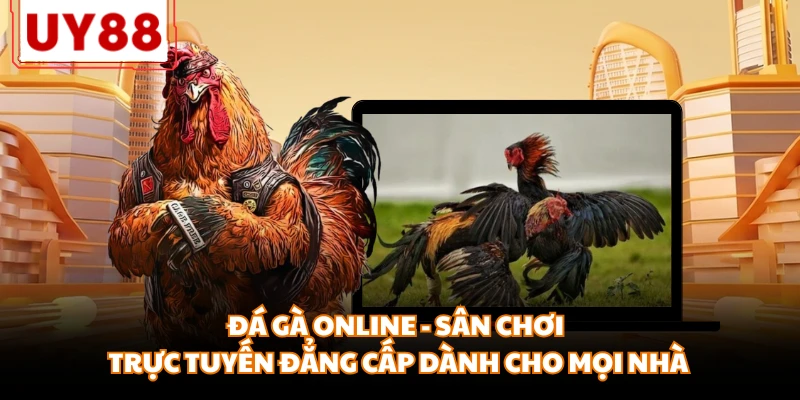 Đá Gà Online - Sân chơi trực tuyến đẳng cấp dành mọi nhà - motx