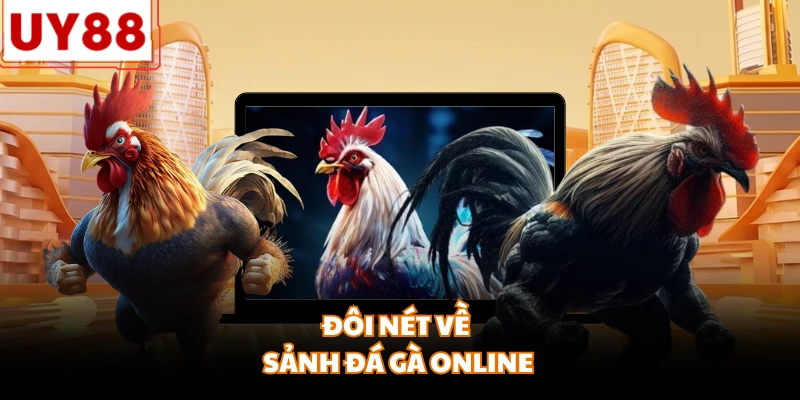 Đá Gà Online - Sân chơi trực tuyến đẳng cấp dành mọi nhà - motx