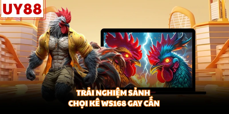 Đá Gà Online - Sân chơi trực tuyến đẳng cấp dành mọi nhà - motx