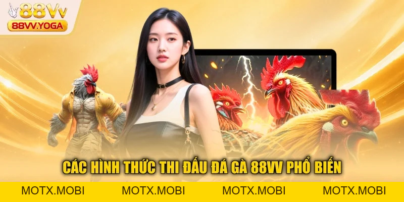 Đá Gà 88VV - Hướng Dẫn Luật Chơi Và Kinh Nghiệm Thắng 2026 - motx