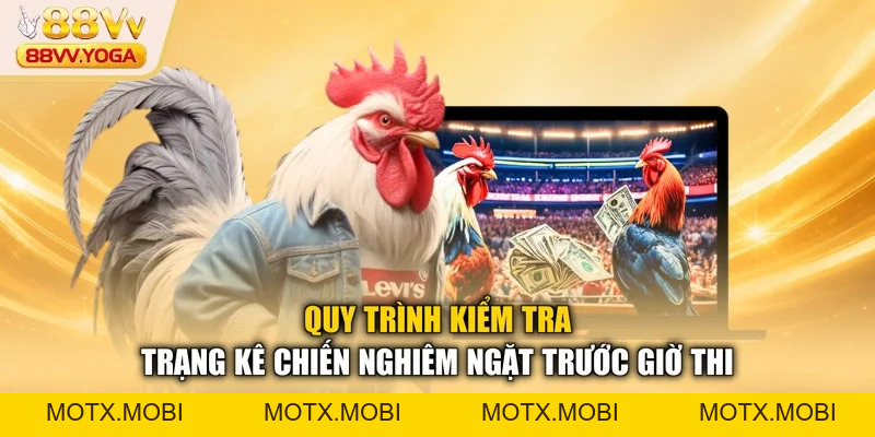 Đá Gà 88VV - Hướng Dẫn Luật Chơi Và Kinh Nghiệm Thắng 2026 - motx